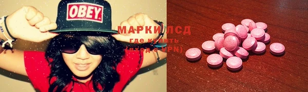 a pvp Аркадак