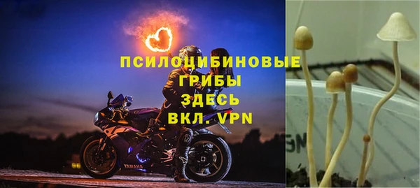 крисы Арсеньев