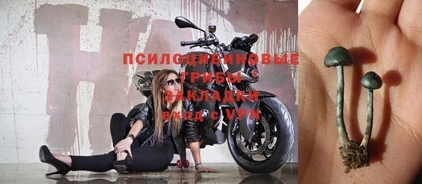 крисы Арсеньев